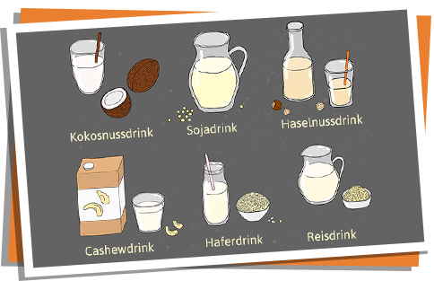 Eine Übersicht verschiedener Milch-Ersätze: Kokosnuss-, Soja-, Haselnuss-, Cashew-, Hafer- und Reisdrink