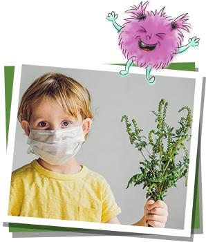 Aus einer Pollenallergie kann auch Asthma werden